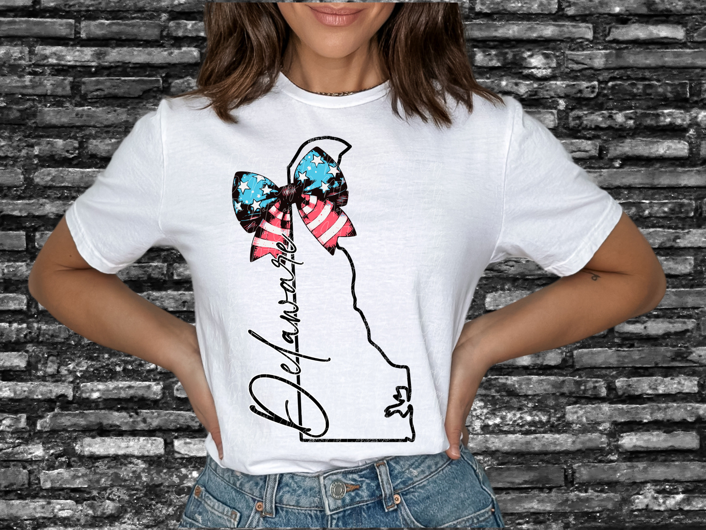 Delaware State DTF Transfer - SCD1584