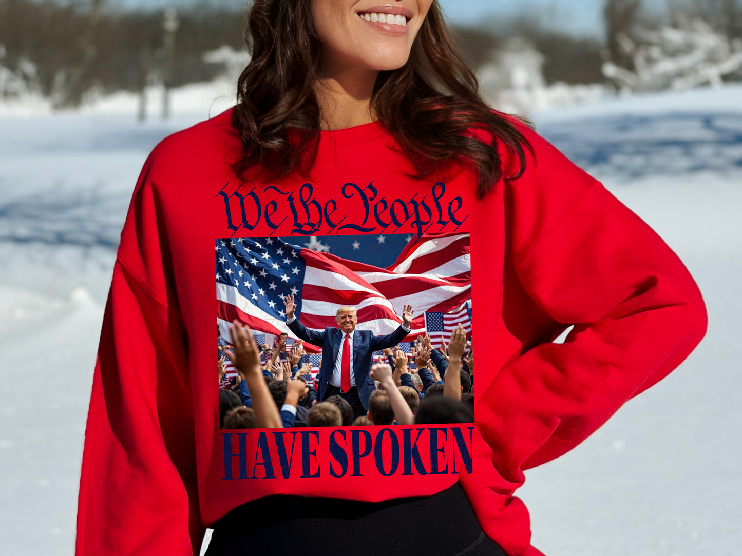 We The People Have Spoken Trump Political USA DTF Transfer - KPI2366