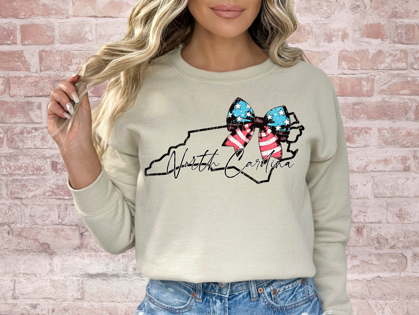 North Carolina State DTF Transfer - SCD1609