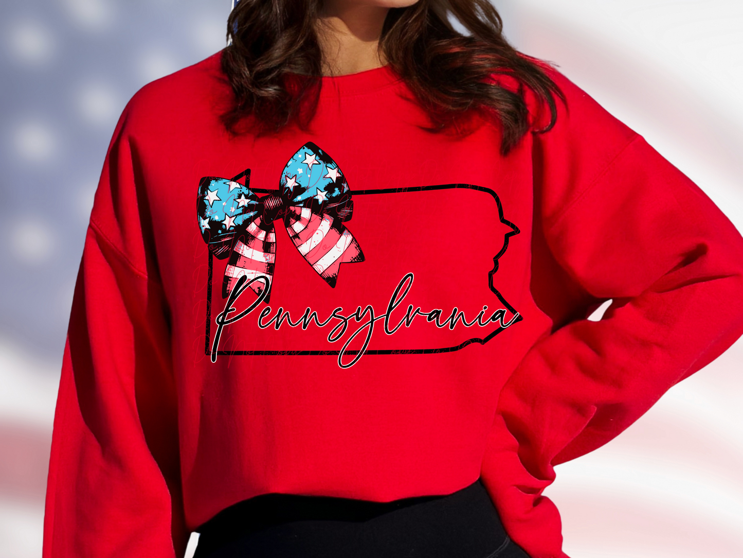 Pennsylvania State DTF Transfer - SCD1614