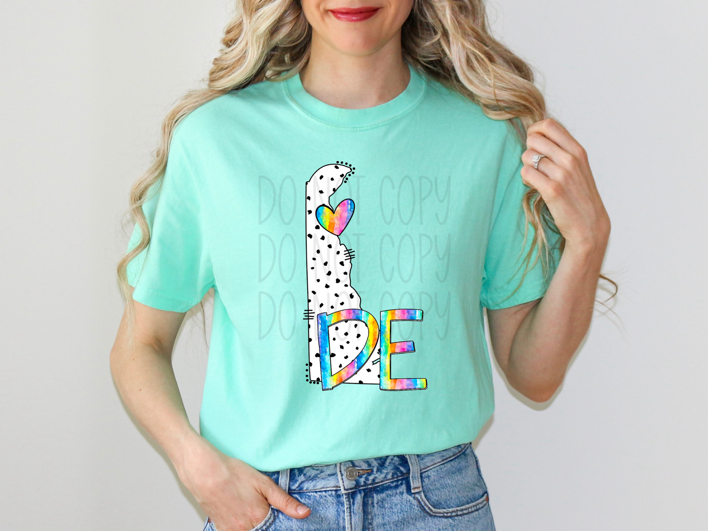 Delaware State DTF Transfer - TED1350