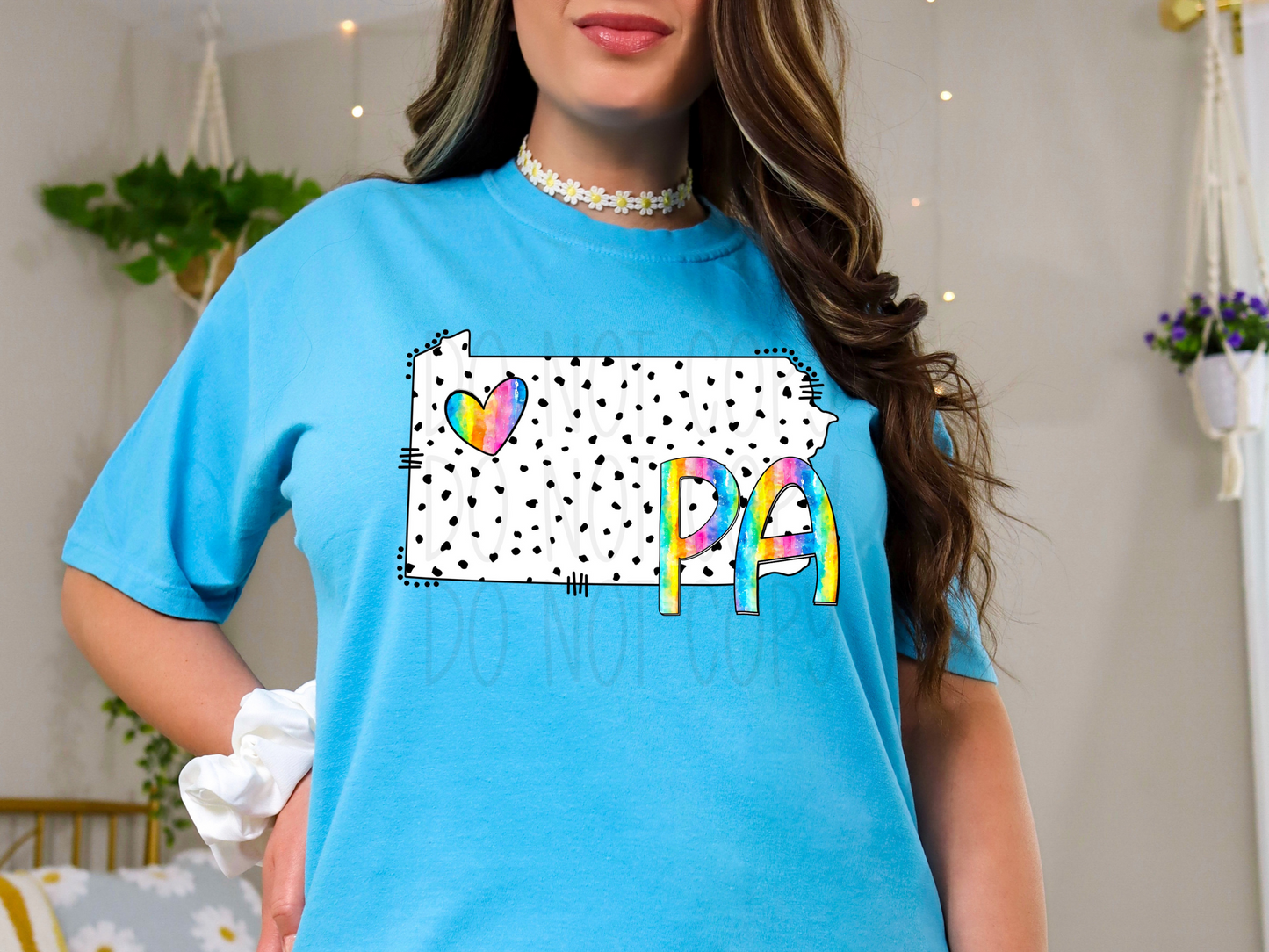 Pennsylvania State DTF Transfer - TED1380