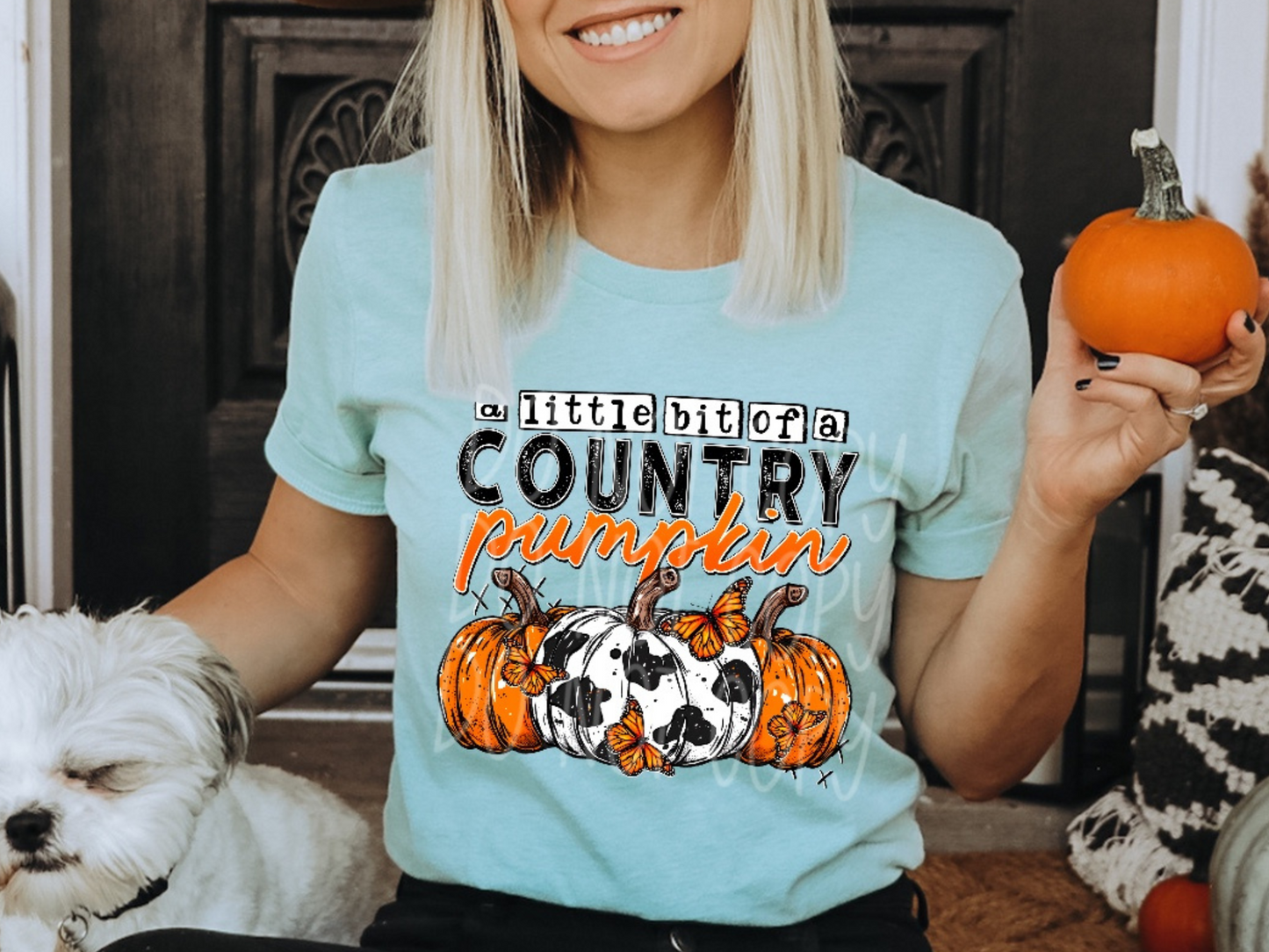 A Little Bit Of A Country Pumpkin Fall DTF Transfers - TED1757