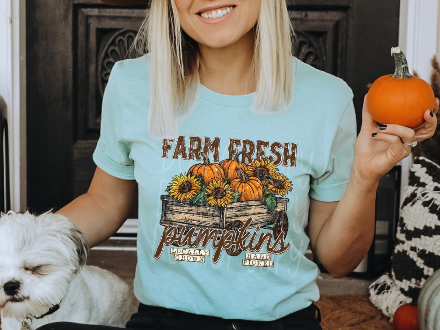 Farm Fresh Pumpkins Fall DTF Transfers - TED1763