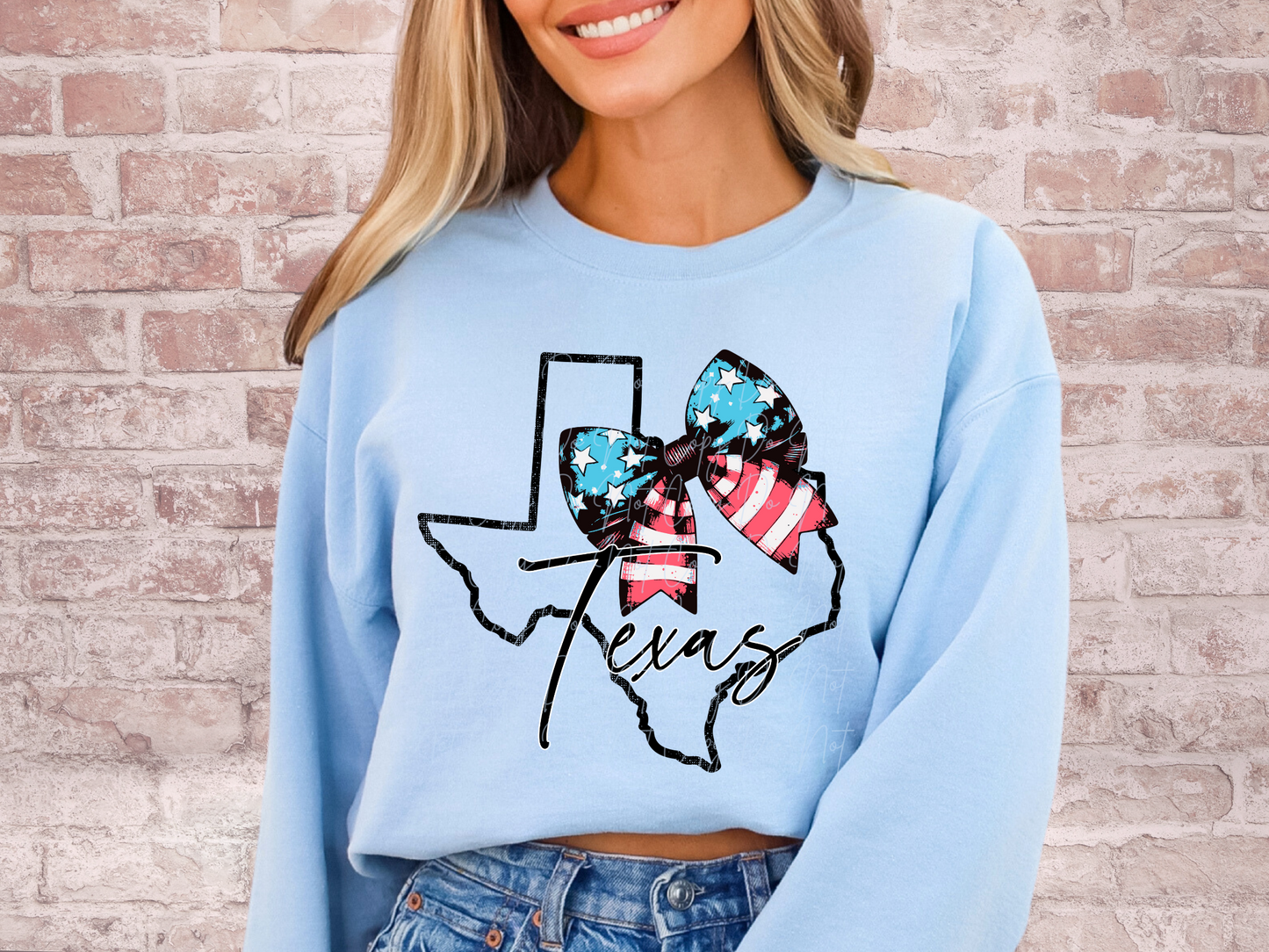 Texas State DTF Transfer - SCD1619