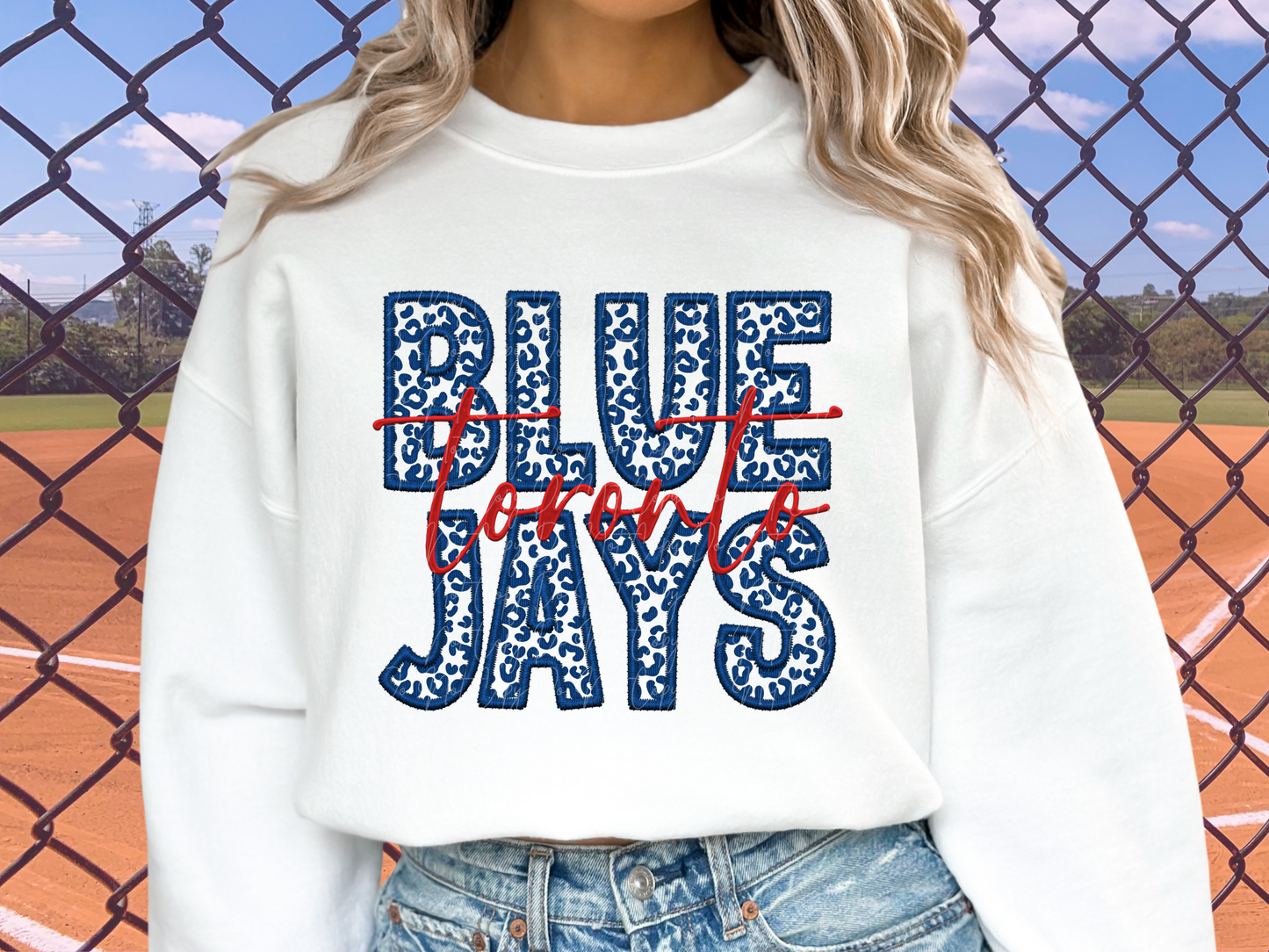 Toronto Blue Jays Baseball DTF Transfer - SCD1346