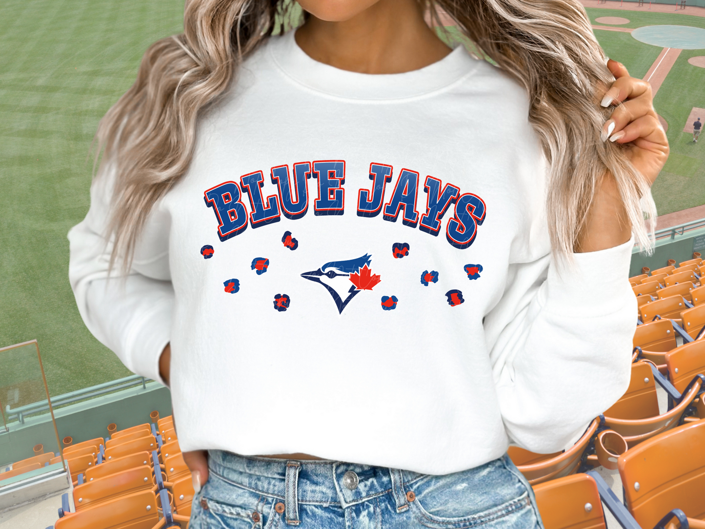 Toronto Blue Jays Baseball DTF Transfer - KPI1161