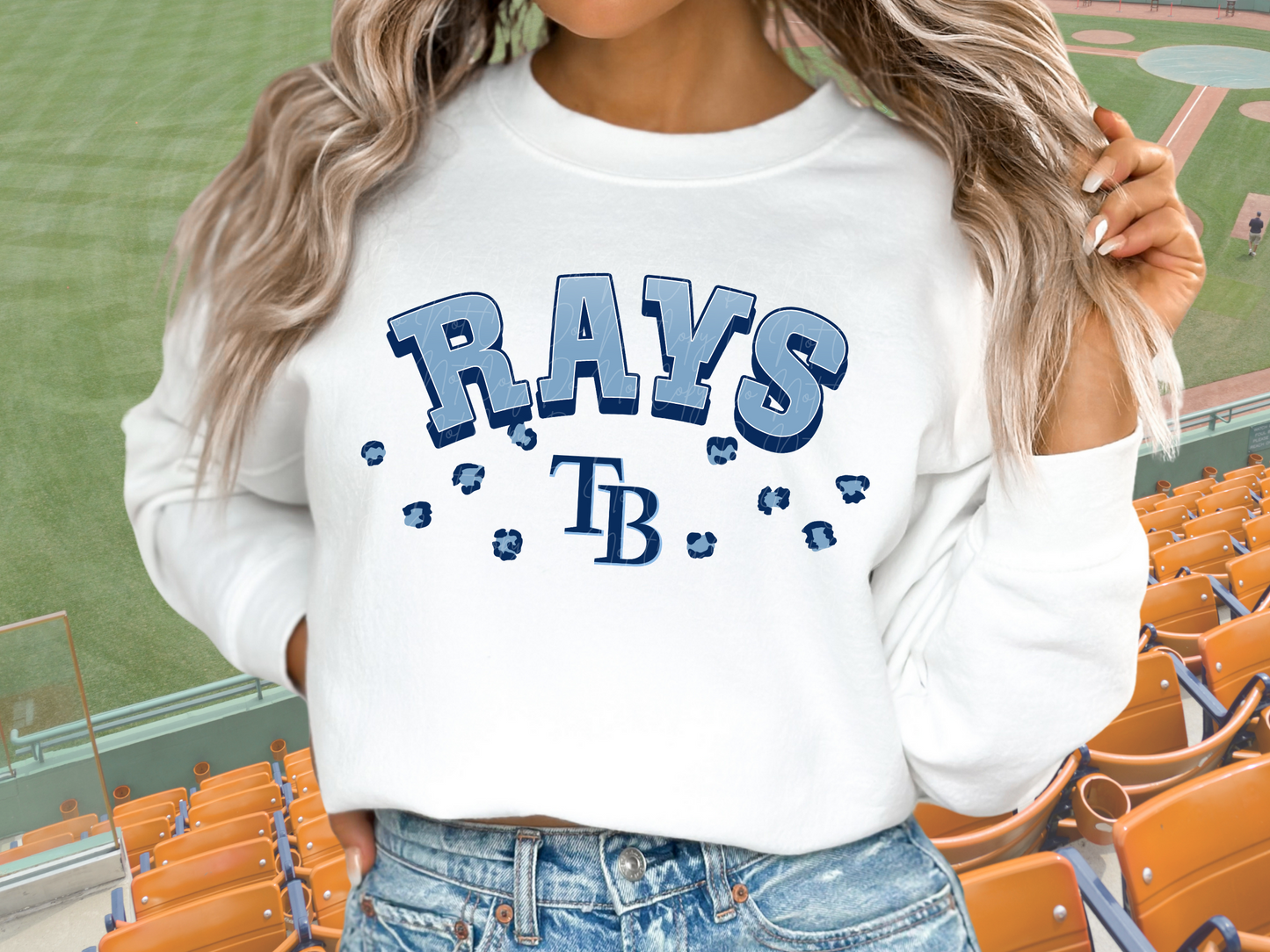 Tampa Bay Rays Baseball DTF Transfer - KPI1251