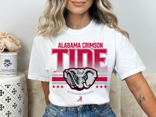 Alabama Crimson Tide College Football DTF Transfer - KPI1701