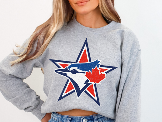 Toronto Blue Jays Baseball DTF Transfer - KPI1822