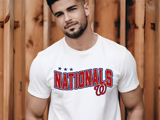 Washington Nationals Baseball DTF Transfer - KPI1845
