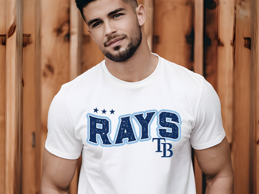 Tampa Bay Rays Baseball DTF Transfer - KPI1857