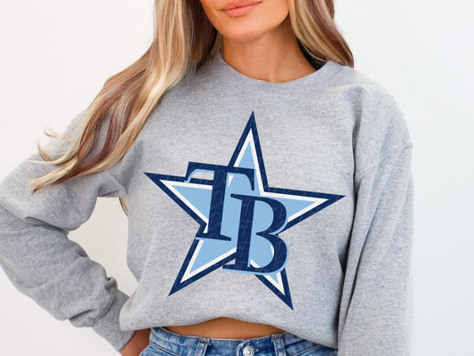Tampa Bay Rays Baseball DTF Transfer - KPI1858