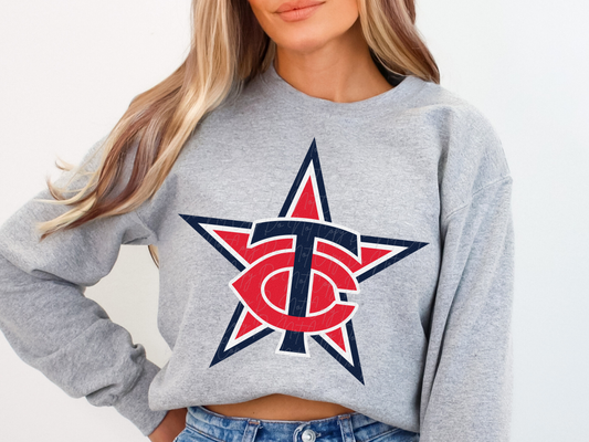Minnesota Twins Baseball DTF Transfer - KPI1870