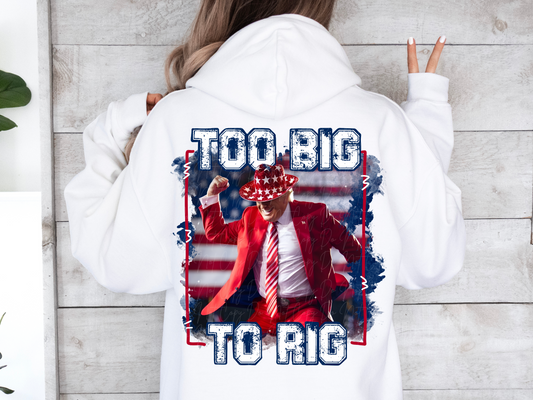 Too Big To Rig USA Trump Political USA DTF Transfer - KPI2364