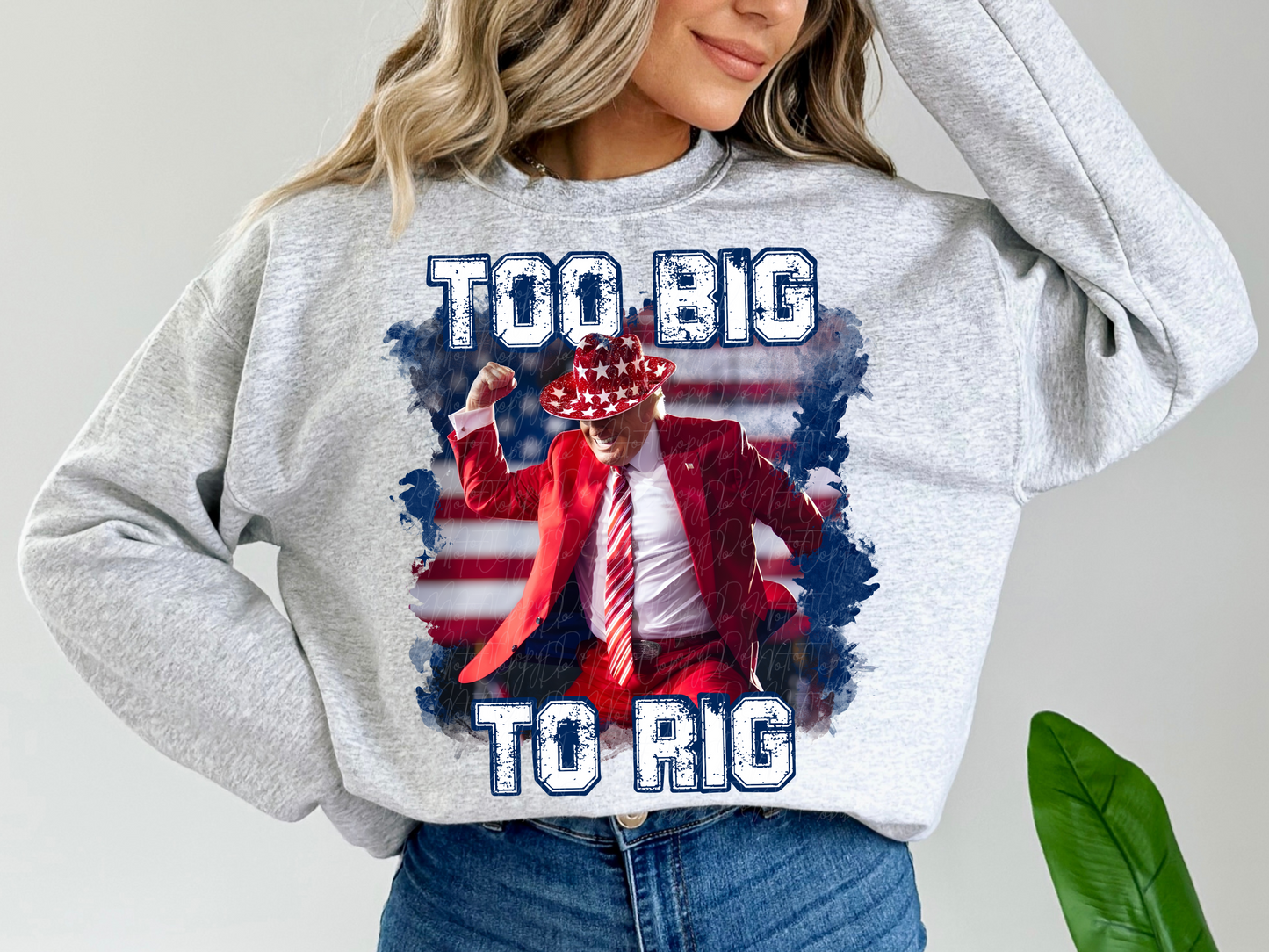Too Big To Rig USA Trump Political USA DTF Transfer - KPI2365