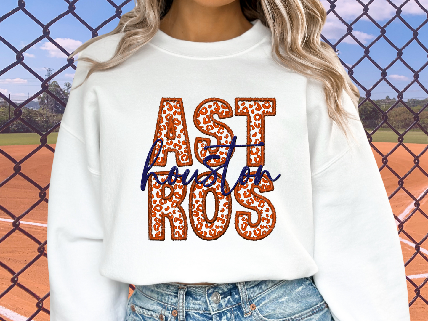 Houston Astros Baseball DTF Transfer - SCD1317