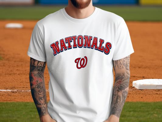 Washington Nationals Baseball DTF Transfer - KPI1222