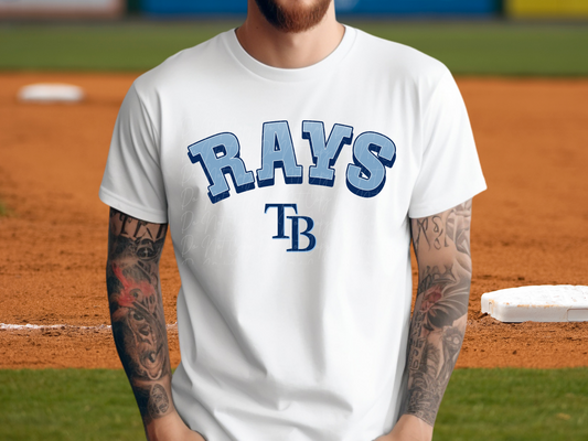 Tampa Bay Rays Baseball DTF Transfer - KPI1252