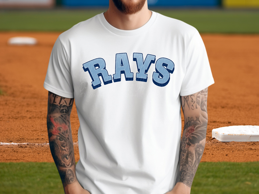 Tampa Bay Rays Baseball DTF Transfer - KPI1253
